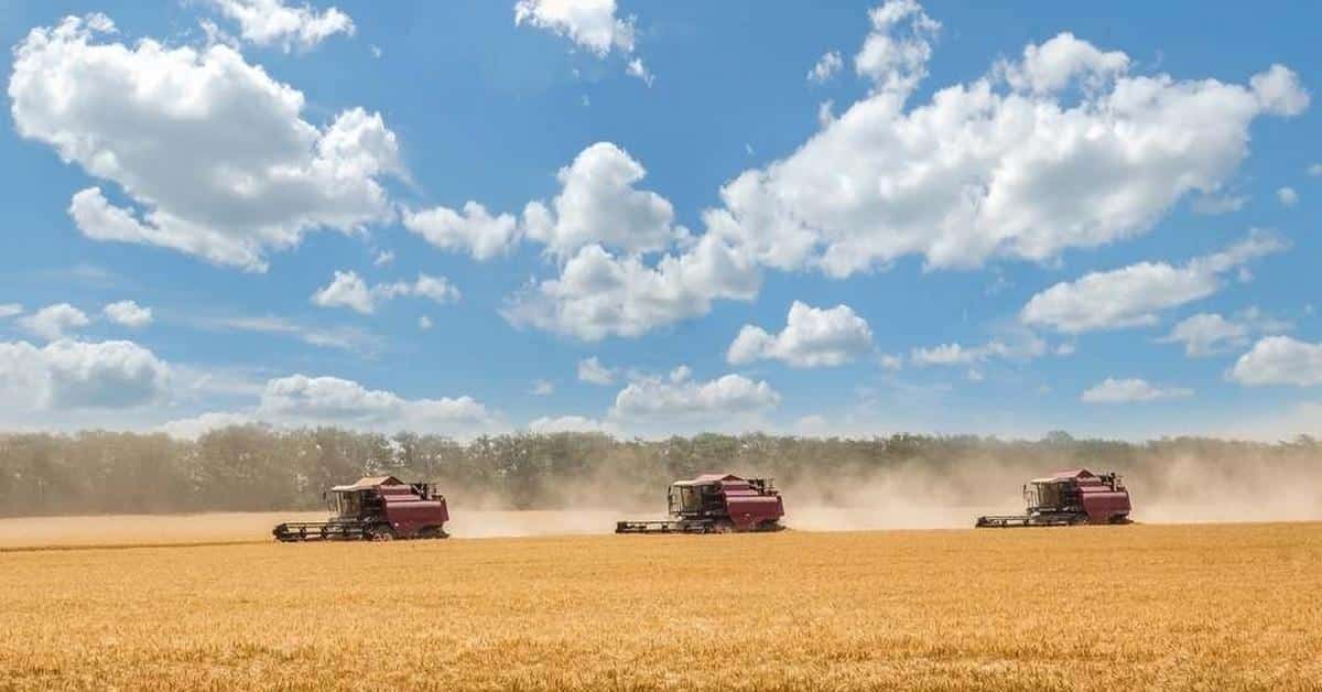 russland duma beschliesst vollstaendiges verbot aller gentechnisch veraenderten nutzpflanzen und tiere