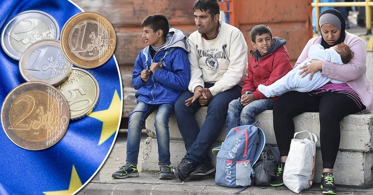 bschlossen fluechtlinge werden fuer 1 euro die stunde den wald fegen und papierflieger basteln