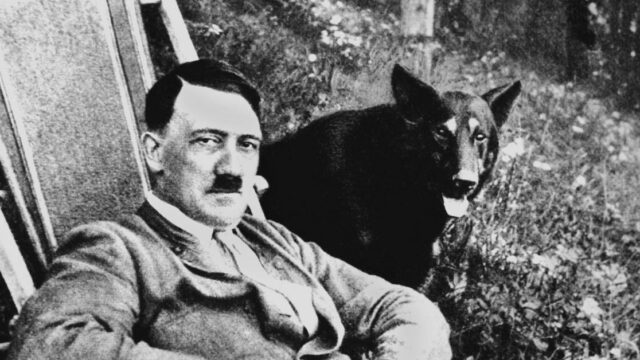 Fachkräfte finden Gefallen an Hakenkreuzen und Adolf Hitler
