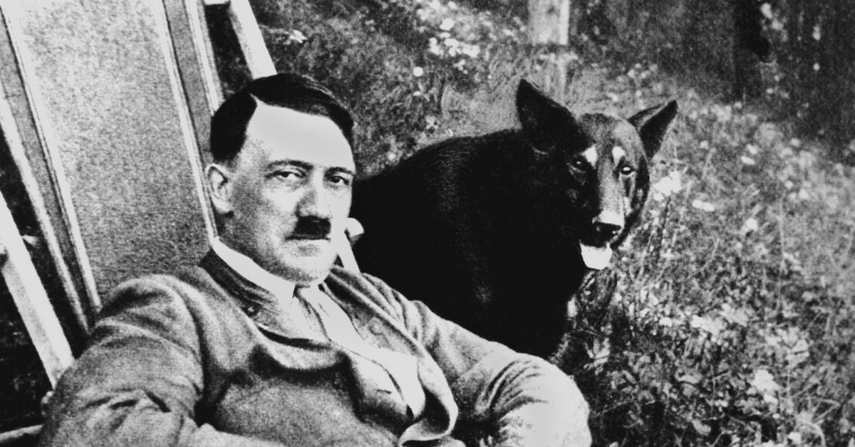 Fachkräfte finden Gefallen an Hakenkreuzen und Adolf Hitler