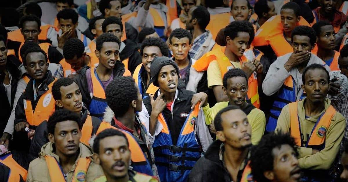 Warum holen wir die illegalen Migranten nicht gleich in Afrika ab?