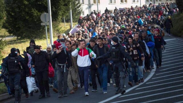 Österreich bestätigt: Jeder zweite muslimische Terrorkrieger ist als „Flüchtling“ eingereist