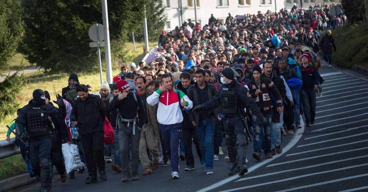 Österreich bestätigt: Jeder zweite muslimische Terrorkrieger ist als „Flüchtling“ eingereist
