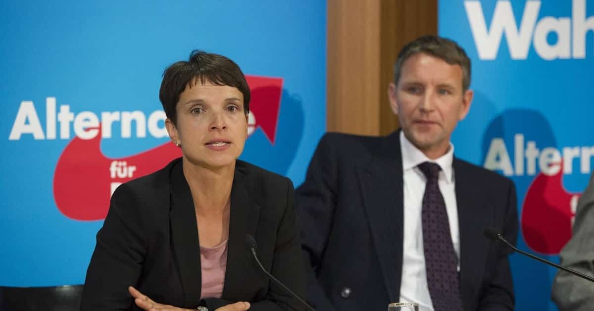 Fährt Petry die AfD an die Wand? Ein Machtkampf, die Medien und die Koalitionsfähigkeit