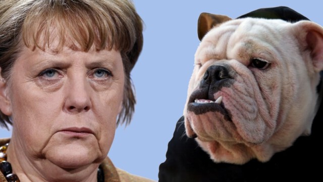 Germany RIP: Angela Merkel, die Hure von Washington, zerstört Deutschland