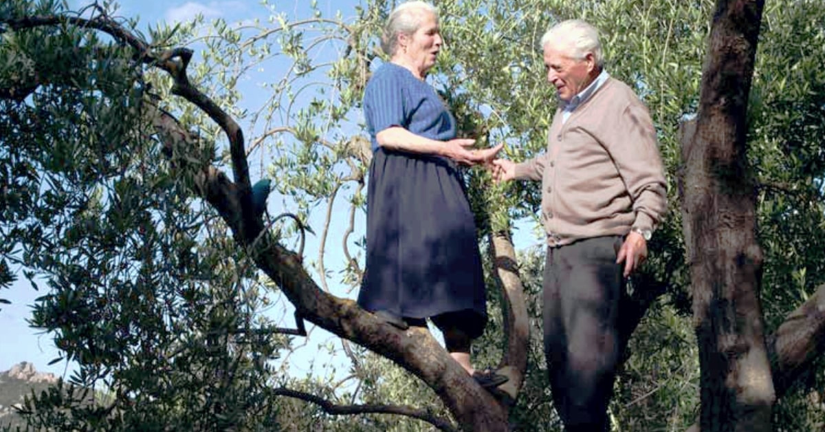 Altersforschung: Das Geheimnis der Hundertjährigen von Sardinien