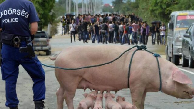 Bollwerk gegen Volkstod hält: Syrer in Visegrad-Staaten weiterhin nicht willkommen