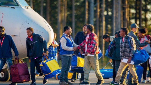 Alterstest in Schweden: Von 581 „minderjährigen“ Migranten waren 442 volljährig