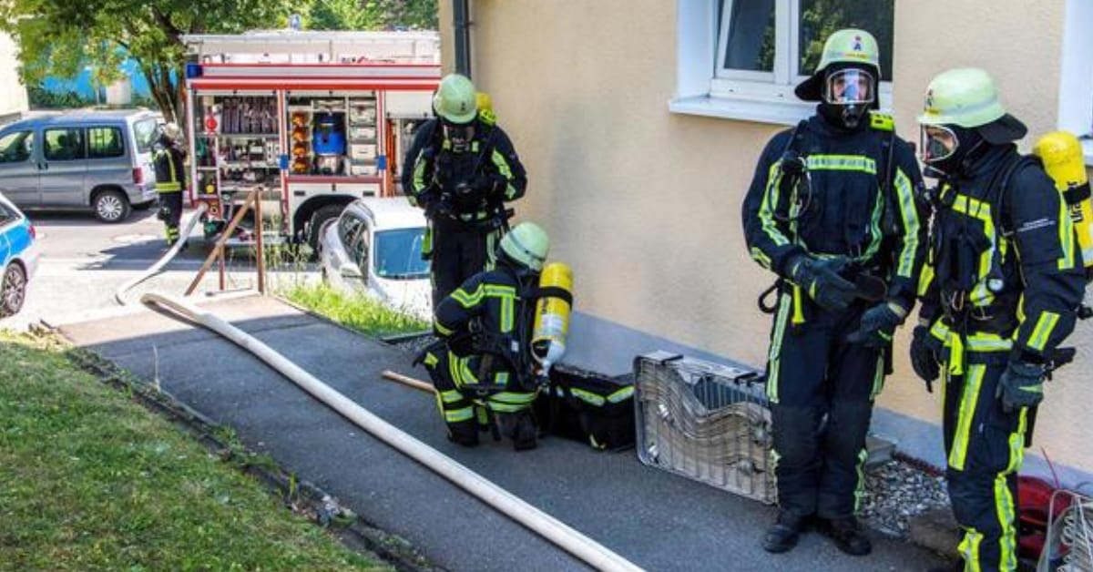 Friedrichshafen: Undankbare Invasorenfamilie soll Wohnung räumen und droht sie anzuzünden