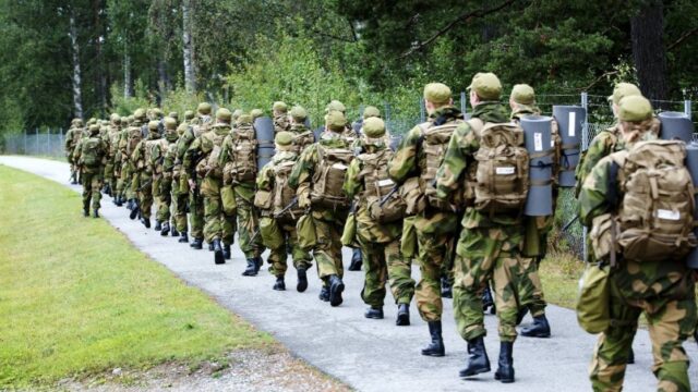 Migrantenkriminalität außer Kontrolle: Dänemark schickt sein Militär an die deutsche Grenze