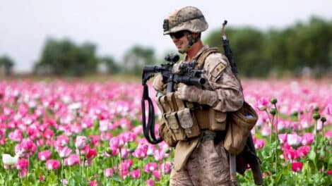 CIA-Heroin-Rattenlinie: Wie die USA den weltweiten Drogenhandel organisiert