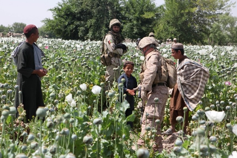 CIA-Heroin-Rattenlinie: Wie die US-Regierung den weltweiten Drogenhandel organisiert