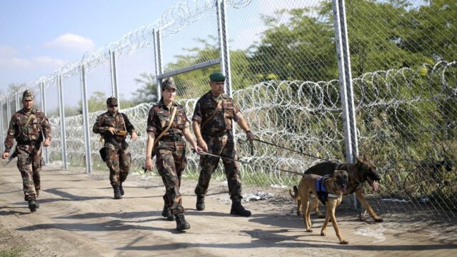 Keine Chance für illegale Migranten: Ungarn setzt Grenzzaun zu Serbien unter Strom