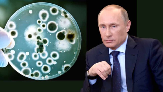 Biowaffe gegen Russland? Putin: Unbekannte sammeln landesweit Gewebeproben von Russen