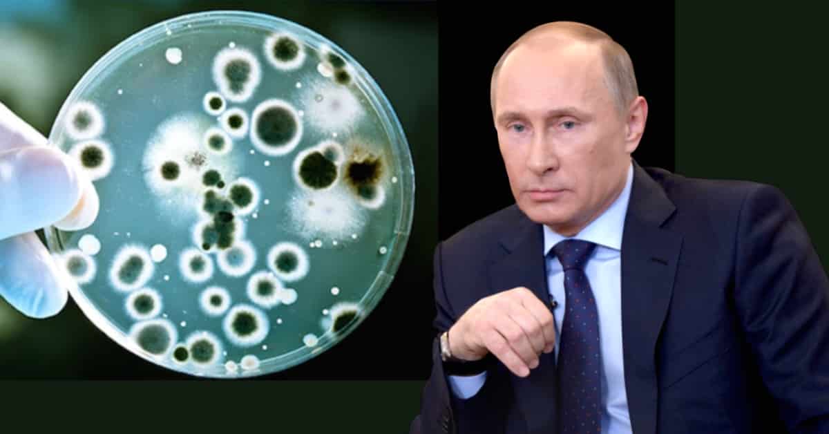 Biowaffe gegen Russland? Putin: Unbekannte sammeln landesweit Gewebeproben von Russen