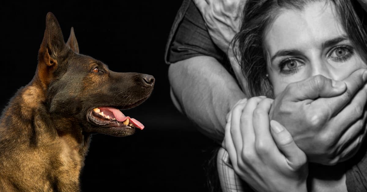 Dortmund: Schäferhund stellt drei Asylbewerber nach massiven sexuellen Übergriff auf Frauen