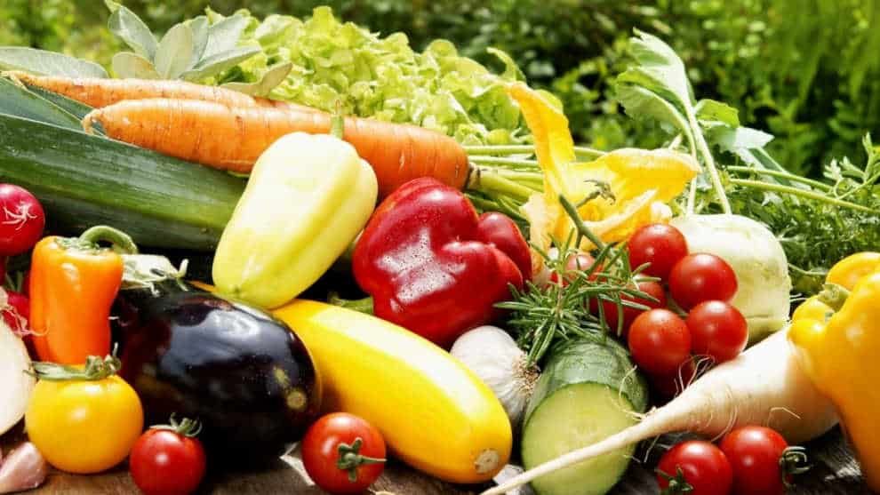Kleingärtner als Schwerkriminelle: 25.000 Euro Strafe für den Anbau alter Obst- und Gemüsesorten