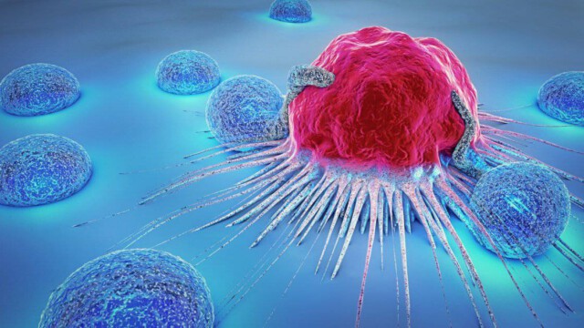 Medizinischer Durchbruch: Wirkstoff entwickelt, der alle Spuren von Krebs vollständig beseitigt
