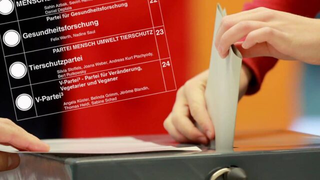 GroKo legitimiert Wahlbetrug: Jetzt dürfen auch geistig Behinderte und psychisch Kranke wählen