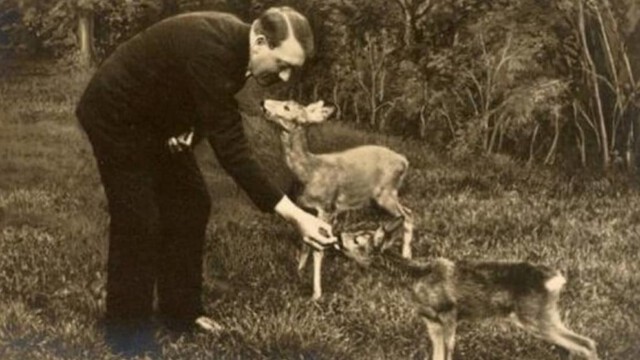 Tierschutz unter Hitler: So fortschrittlich war das Dritte Reich