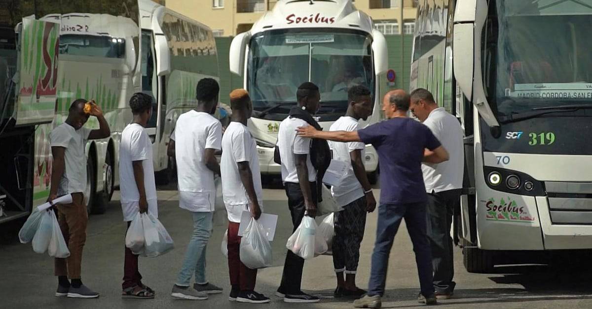 Shuttleservice für Afrikaner: Spanien schickt Migranten per Fernbus nach Deutschland