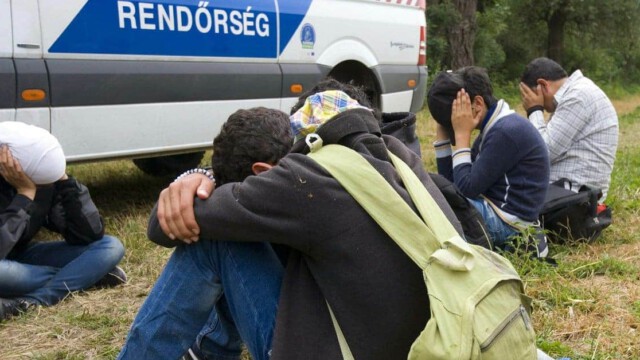 Illegale Migranten empört: Ungarn wagt es sich, seine Grenzen zu schützen!