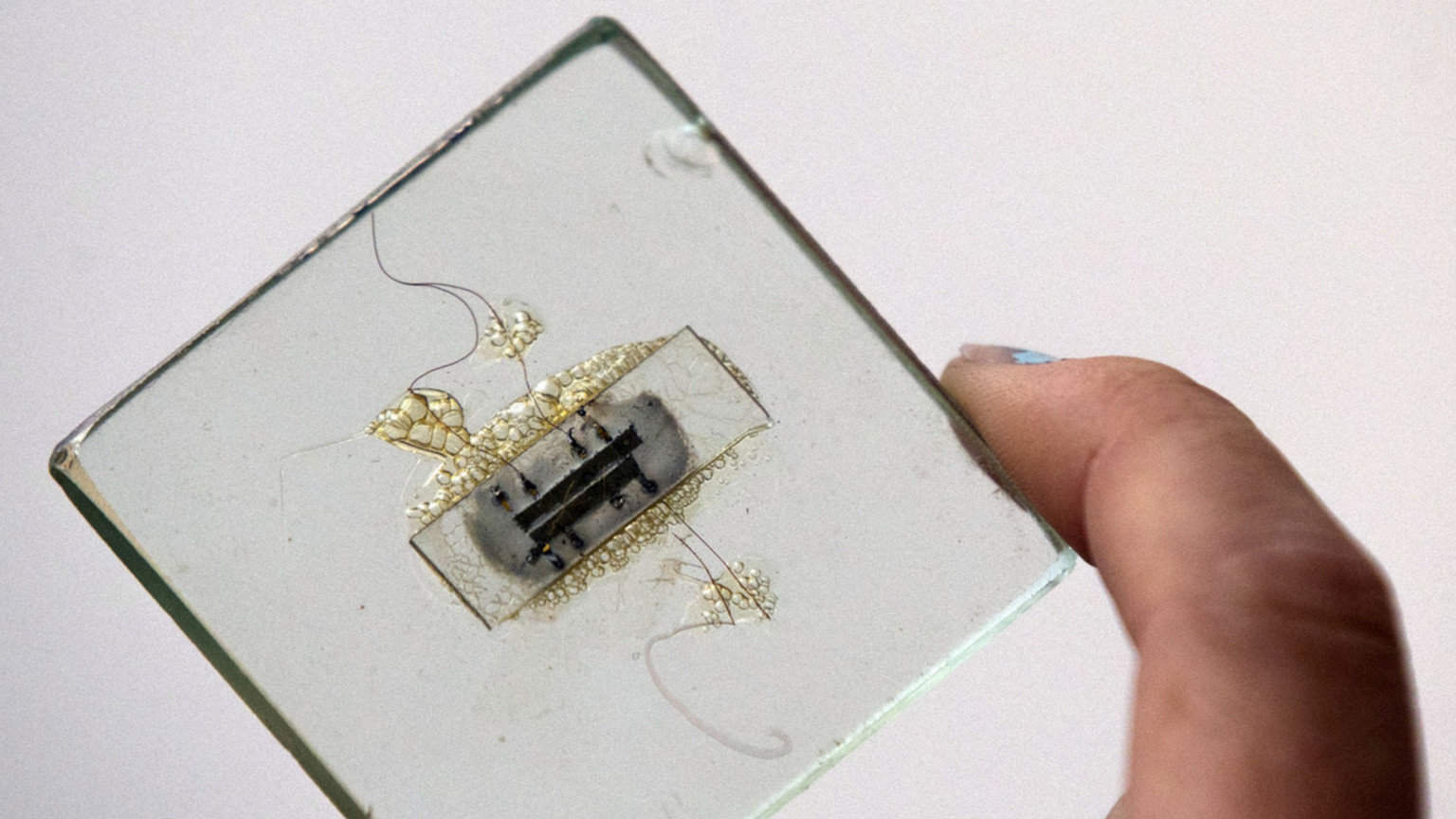 Gestern noch wirre Verschwörungstheorie: Pentagon entwickelt implantierbaren Chip gegen Corona