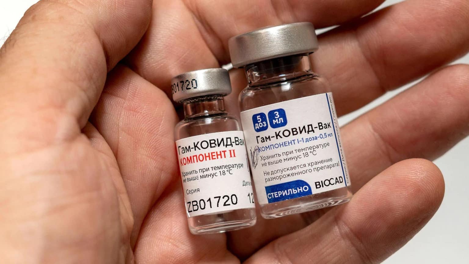 Aktive Viren in Impfstoff nachgewiesen: Brasilien verweigert Sputnik V die Zulassung