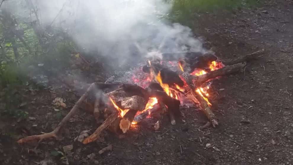 Bad Tölz: Afrikaner grillt komplettes Kalb im offenen Feuer – direkt unterm Nadelbaum
