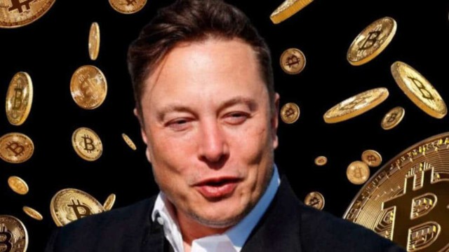 Vom Boom zum Crash: Wie Finanzbetrüger Elon Musk den Bitcoin zu seinen Gunsten manipuliert