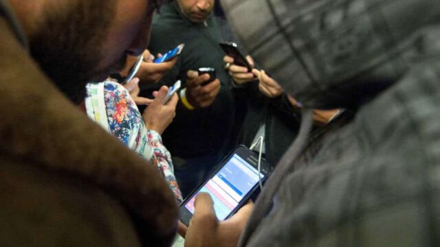 Zoophilie: Migranten surfen auf perversen Tiersex-Seiten