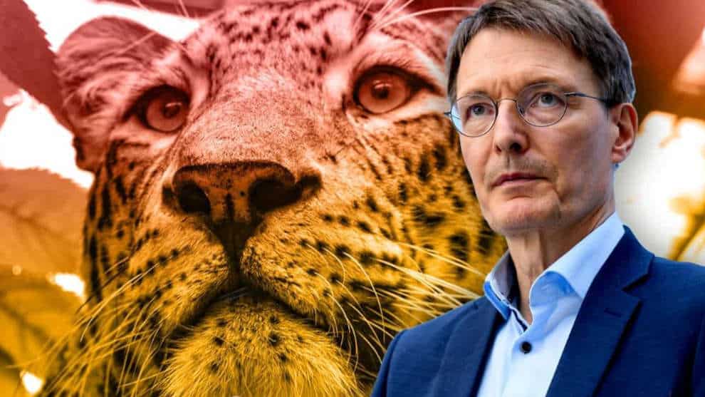 Vom Leoparden gebissen: Mediziner gegen Gundesgesundheitsminister Lauterbach
