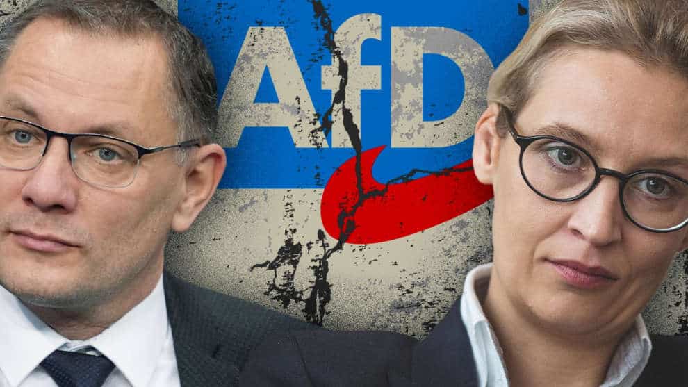 Das Schicksal der AfD scheint besiegelt