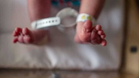 Bestatter beklagt Impf-Friedhof: „Ich habe noch nie viele Babys in den Kühlkammern gesehen”