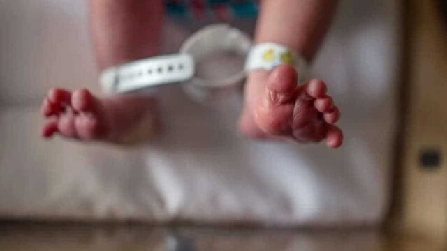 Bestatter beklagt Impf-Friedhof: „Ich habe noch nie viele Babys in den Kühlkammern gesehen”