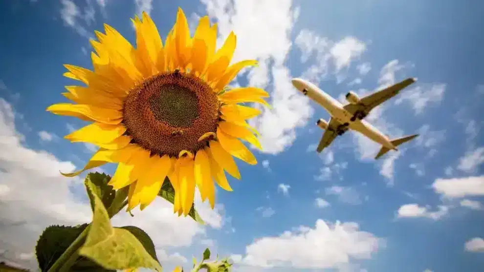 Der Abschuss: Der grüne Krieg gegen das Fliegen