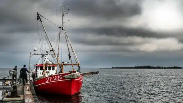 Hundertmillionen: Jetzt will die Ampel die Fischer schröpfen