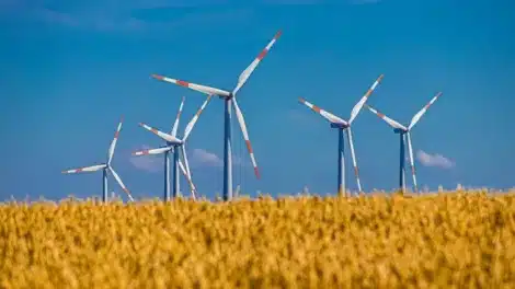 Rechnungsbetrug: Windkraft-Betreiber zockten Millionen ab