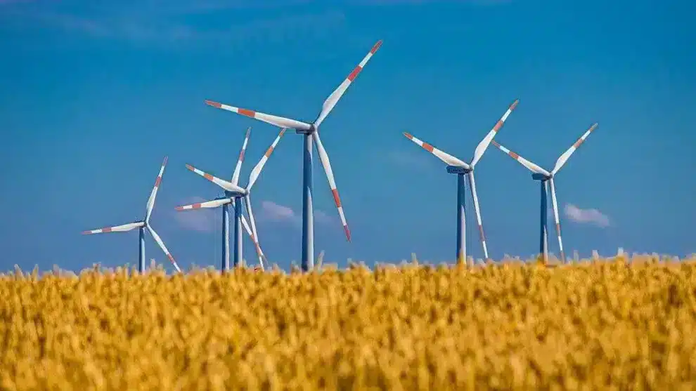 Betrug: Windkraft-Betreiber zockten Millionen ab