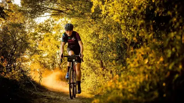 Grüne Kontrollwut: Radfahren auf Waldwegen verboten
