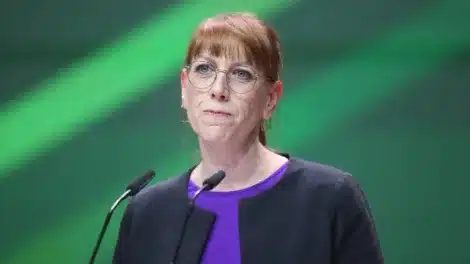 Grüne Justizministerin Kritik an Politikern unter Strafe stellen