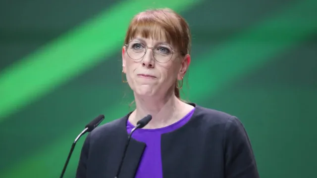 Grüne Justizministerin Kritik an Politikern unter Strafe stellen