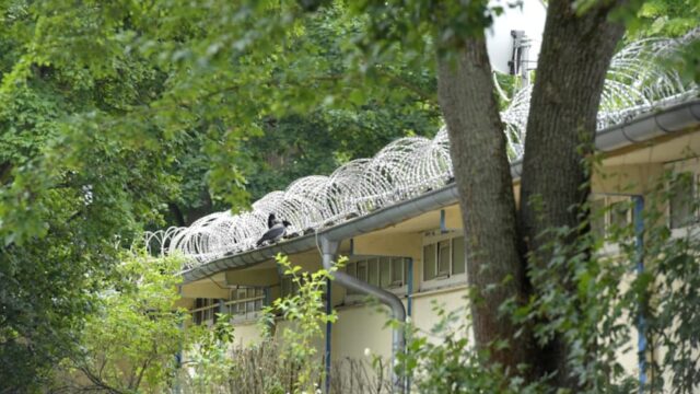 Bunter geht’s nicht: Stacheldraht um Berliner Freibäder