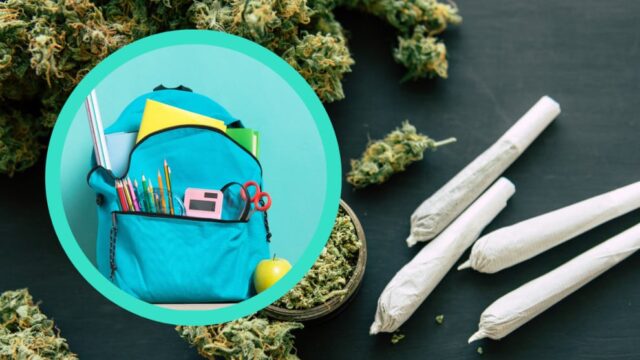 Cannabis auf dem Schulgelände grundsätzlich erlaubt