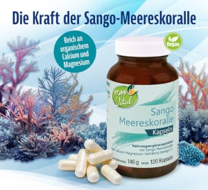Sango Koralle: Das Geheimnis der Hundertjährigen ist gelöst