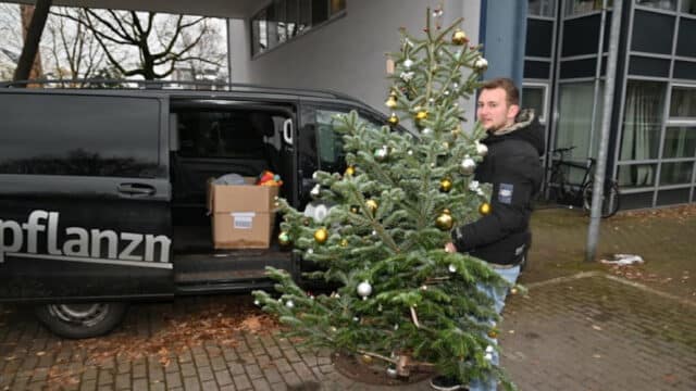 Weihnachtsbaum vor Kita: 3.000 Euro Geldstrafe