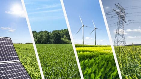 Pleitewelle in der Solarindustrie: Die grüne Blase platzt