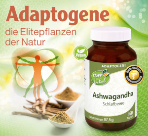 Kopp Vital ® Adaptogen Ashwagandha (Schlafbeere) Kapseln