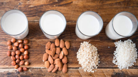 Schock-Studien: Pflanzenmilch gefährdet Kleinkinder massiv