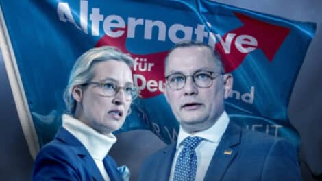 „Gesichert rechtsextrem“ – Journalisten als hirntote Papageien des Staates